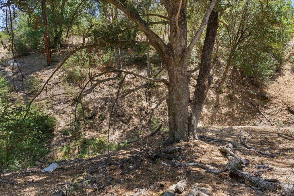 26748 San Felipe Rd Property Photo 3