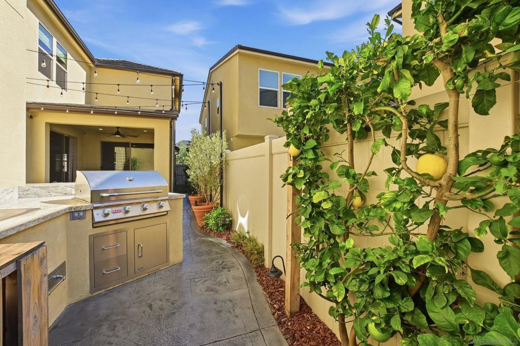 2847 California Poppy Property Photo 45