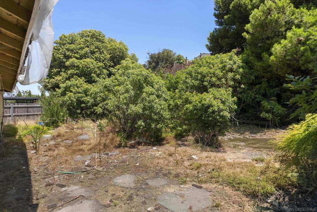 3955 Mount Albertine Way Property Photo 41