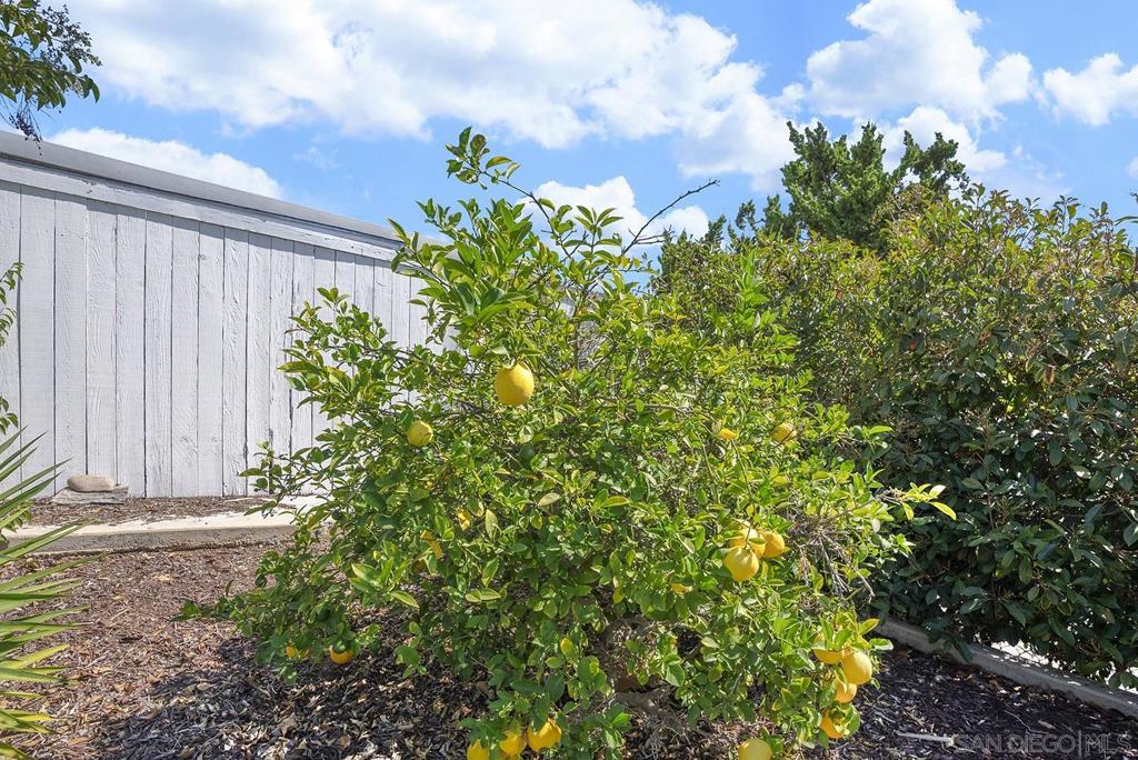 16958 Hierba Property Photo 30