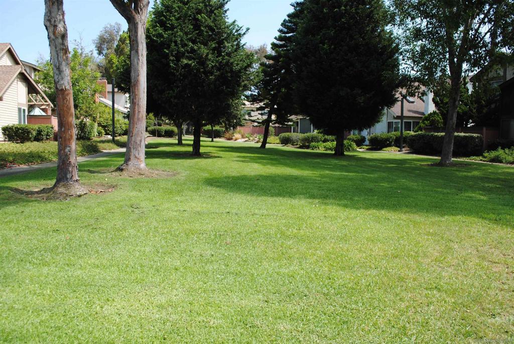 10756 Cariuto Court Property Photo 36