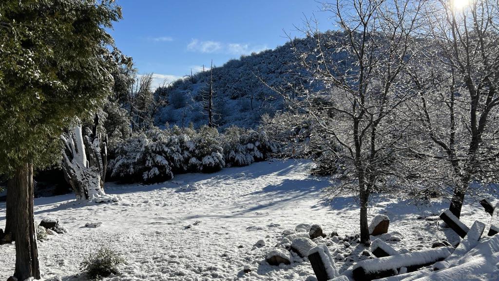 17009 Iron Springs Rd Property Photo 62