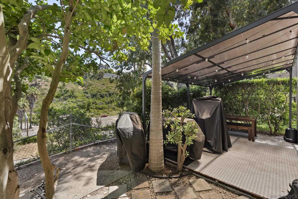 5459 Caminito Borde Property Photo 29