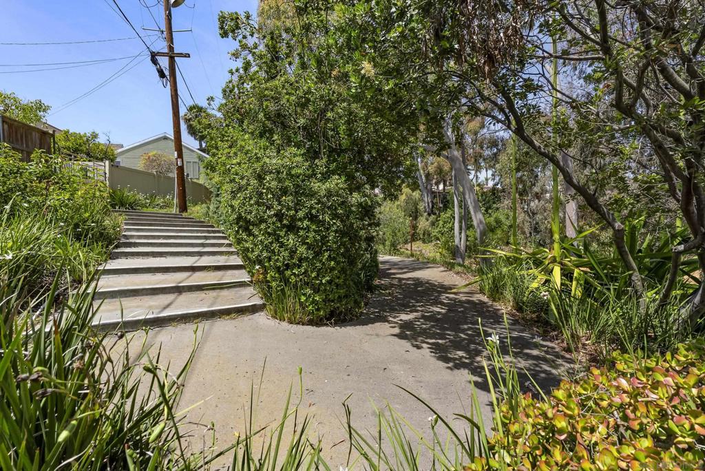 5459 Caminito Borde Property Photo 40