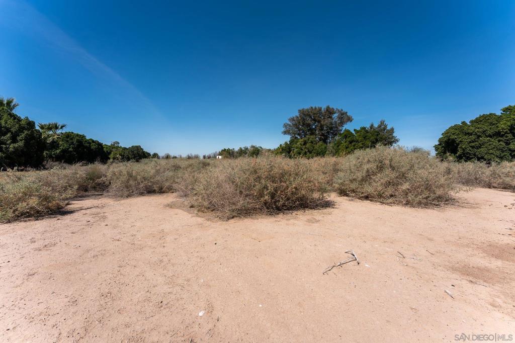 2465 Meloland Rd Property Photo 13