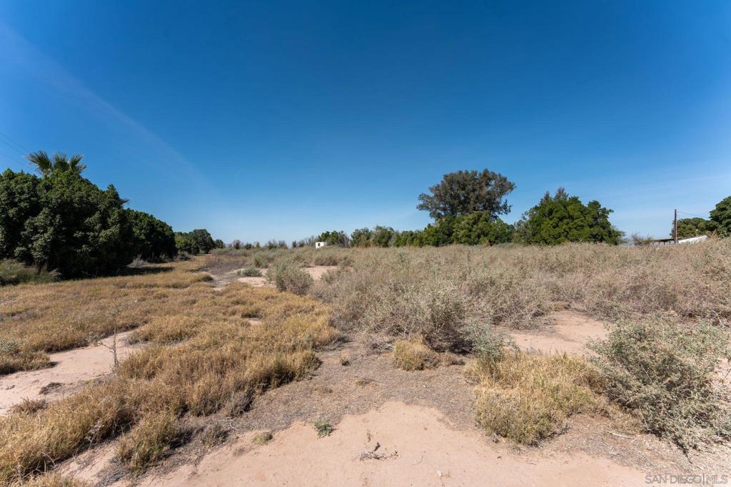 2465 Meloland Rd Property Photo 14