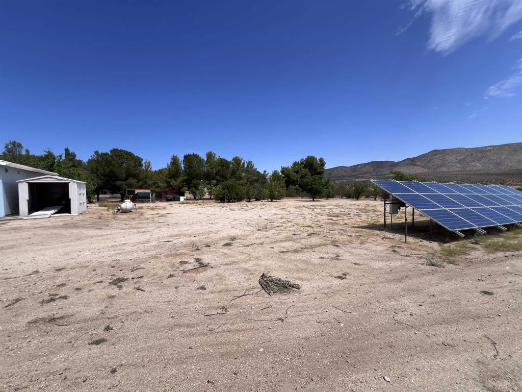 7479 Kickin Horse Trl Property Photo 7