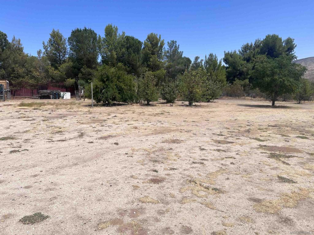 7479 Kickin Horse Trl Property Photo 10