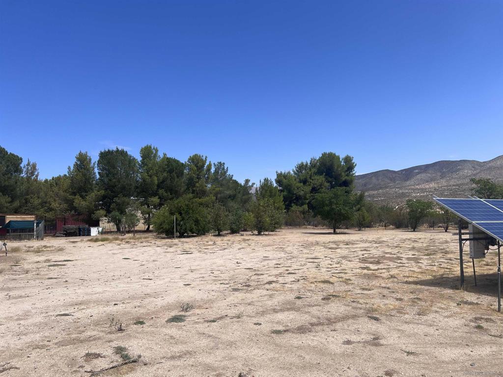7479 Kickin Horse Trl Property Photo 13