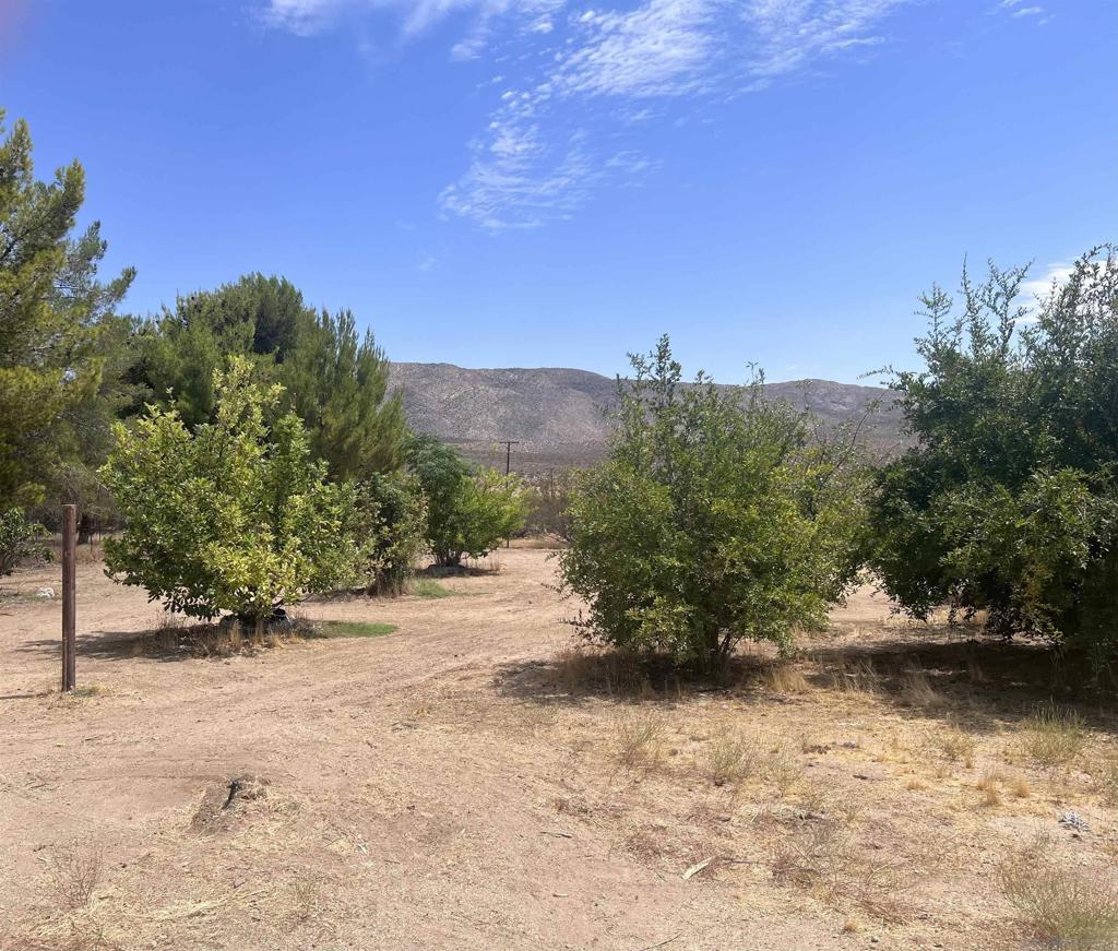 7479 Kickin Horse Trl Property Photo 14