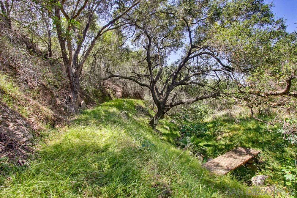 31675 Rancho Amigos Rd Property Photo 11