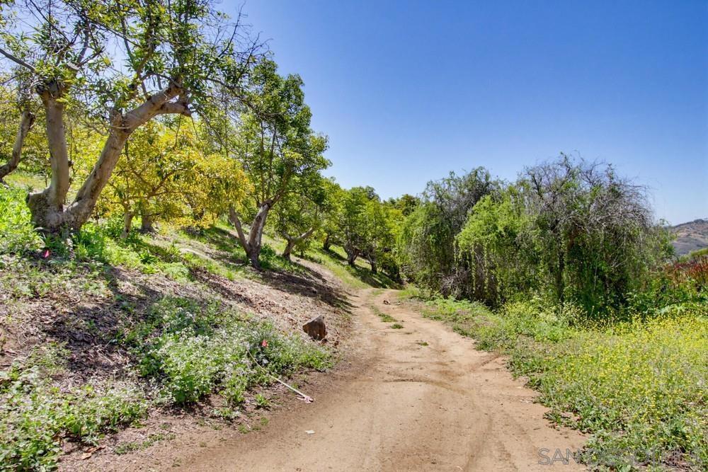 31675 Rancho Amigos Rd Property Photo 13