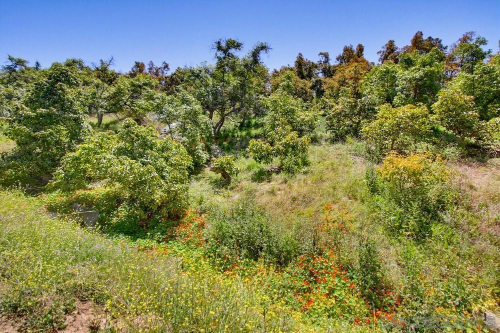31675 Rancho Amigos Rd Property Photo 14