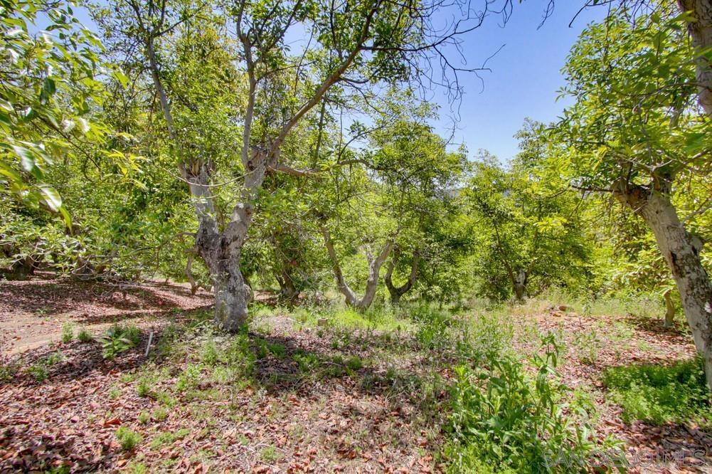 31675 Rancho Amigos Rd Property Photo 19