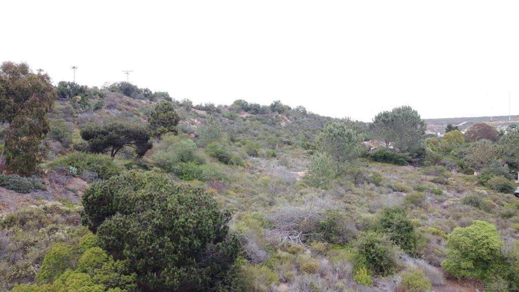 0 Arroyo Sorrento Pl Property Photo 13