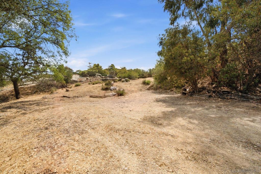 20855 Cinnamon Dr Property Photo 35