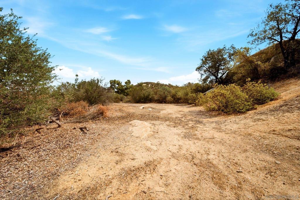 20855 Cinnamon Dr Property Photo 36