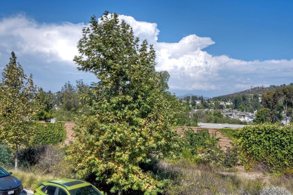 10924 Jericho Way Property Photo 18