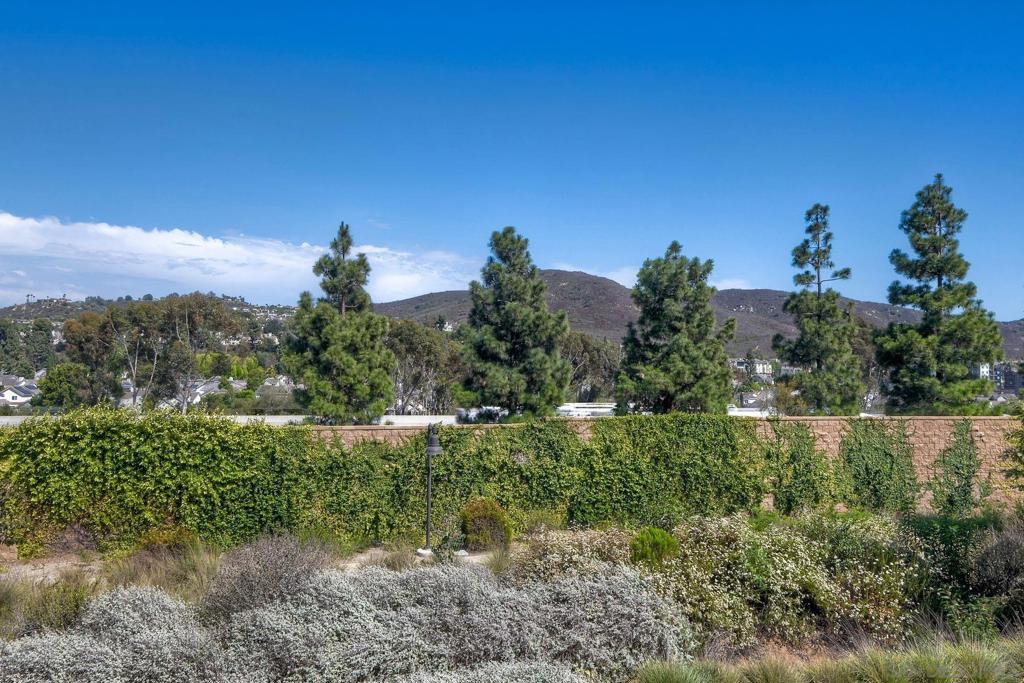 10924 Jericho Way Property Photo 19