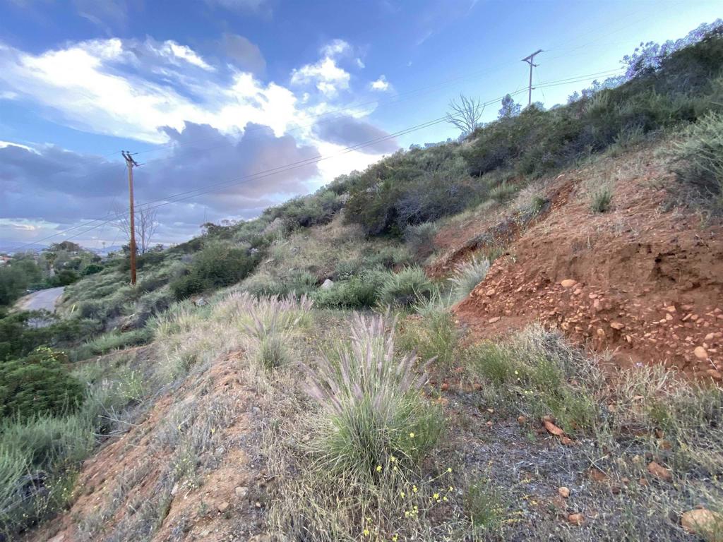 11642 Hi Ridge Road Property Photo 14