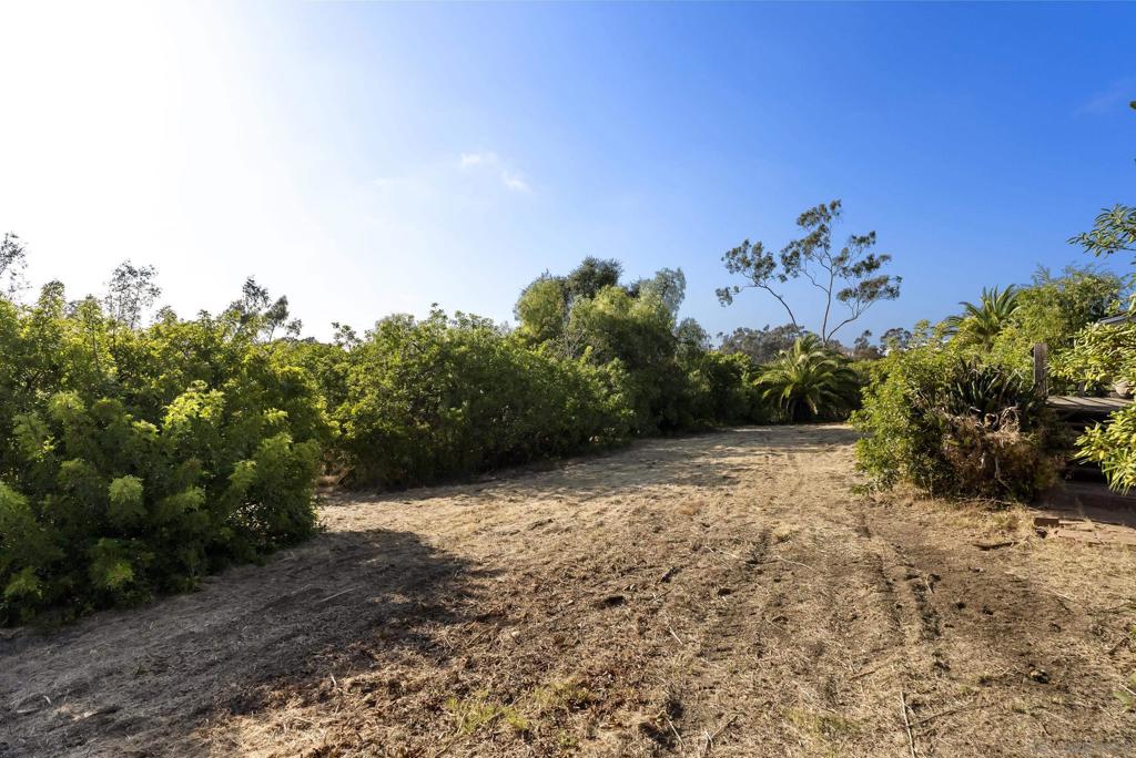 6015 Paseo Valencia Property Photo 7