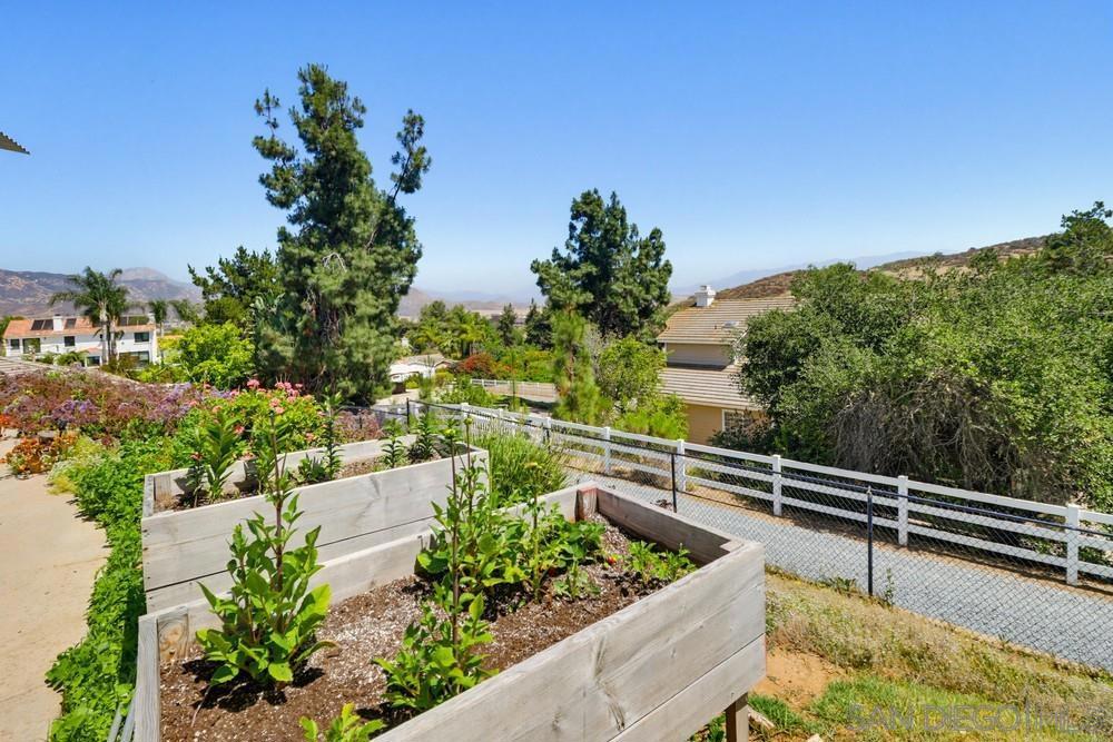 3019 Calle Allejandro Property Photo 47