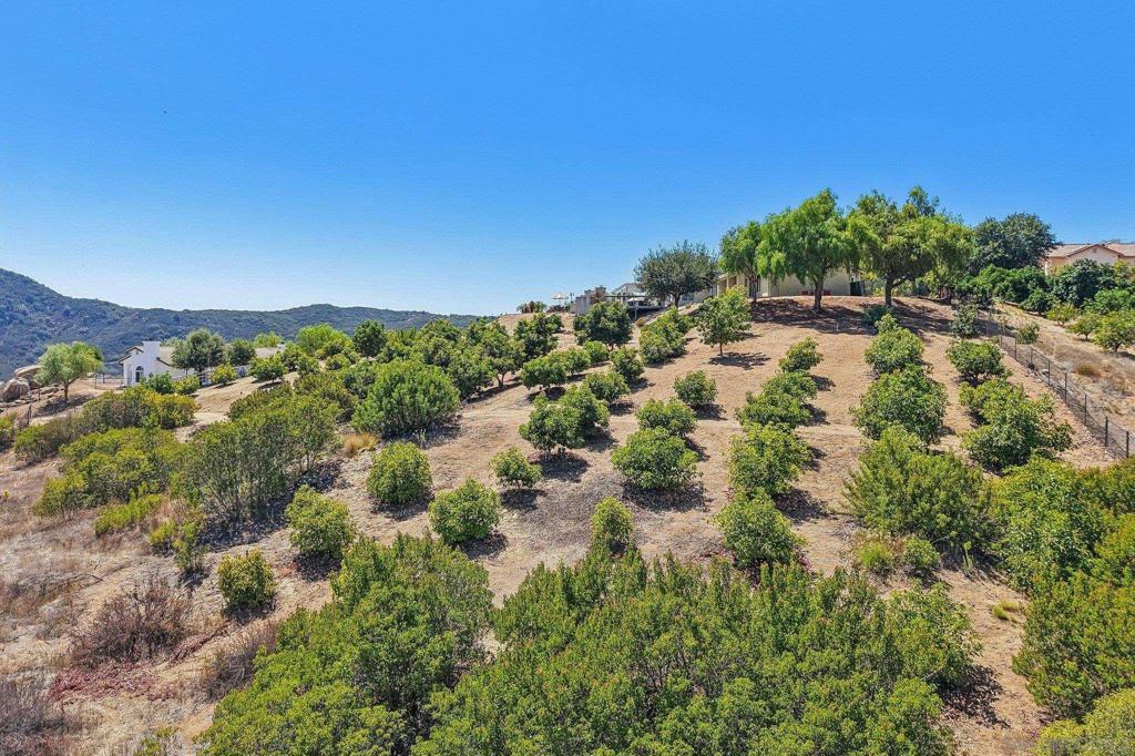 26379 Engelmann Property Photo 69