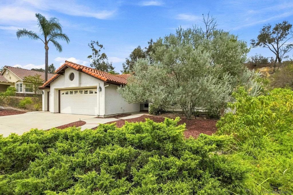 11782 Calle Albara Property Photo 6