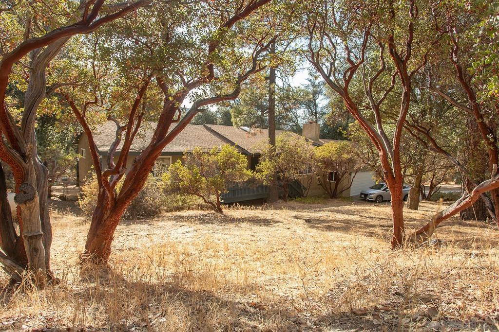 8076 Pine Blvd Property Photo 1