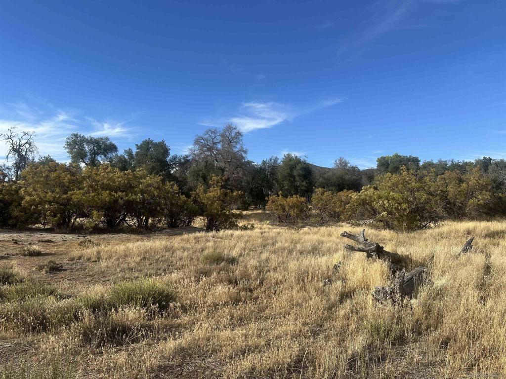 30006 Chihuahua Valley Property Photo 5