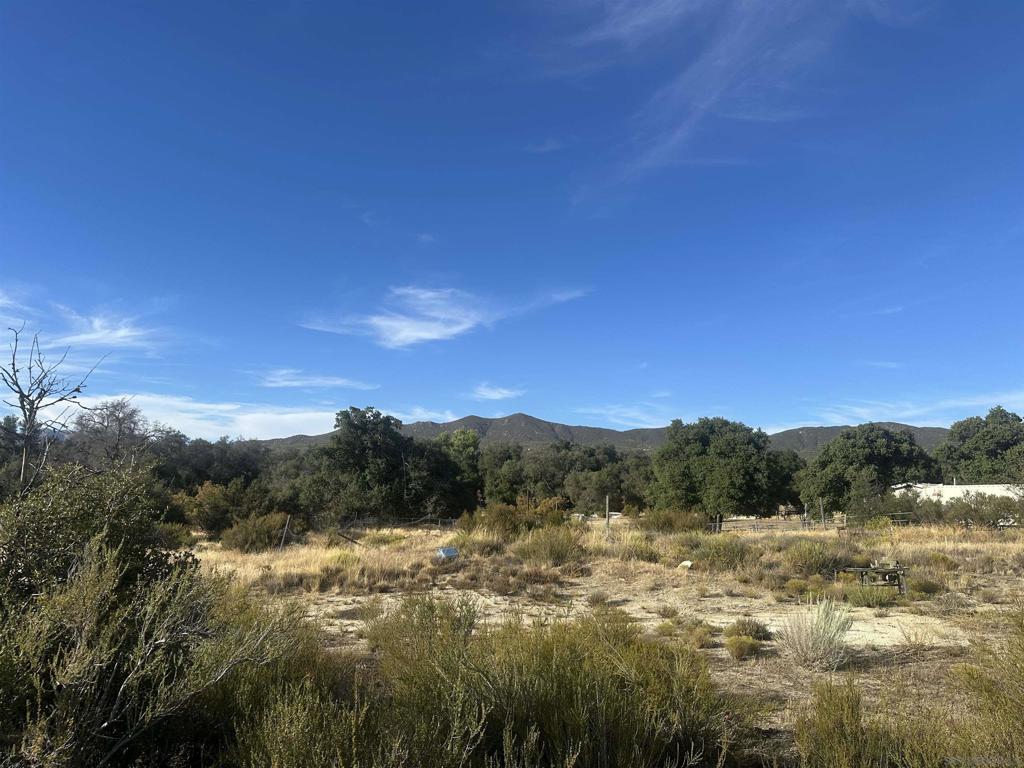 30006 Chihuahua Valley Property Photo 6