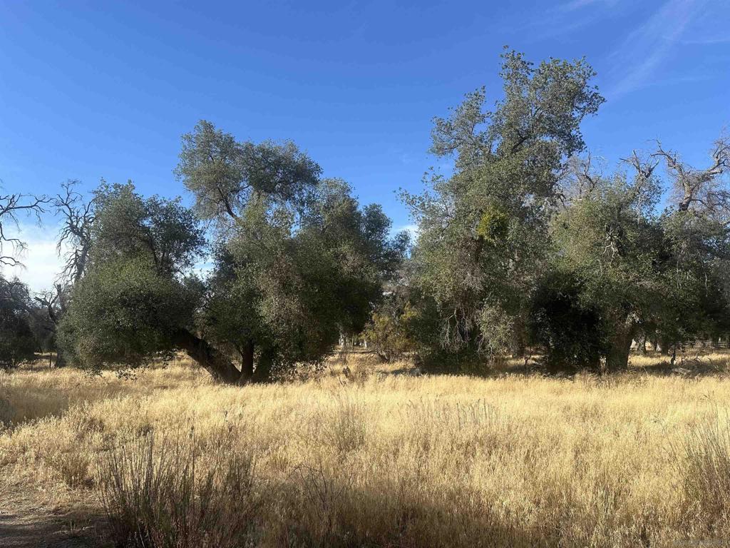 30006 Chihuahua Valley Property Photo 7