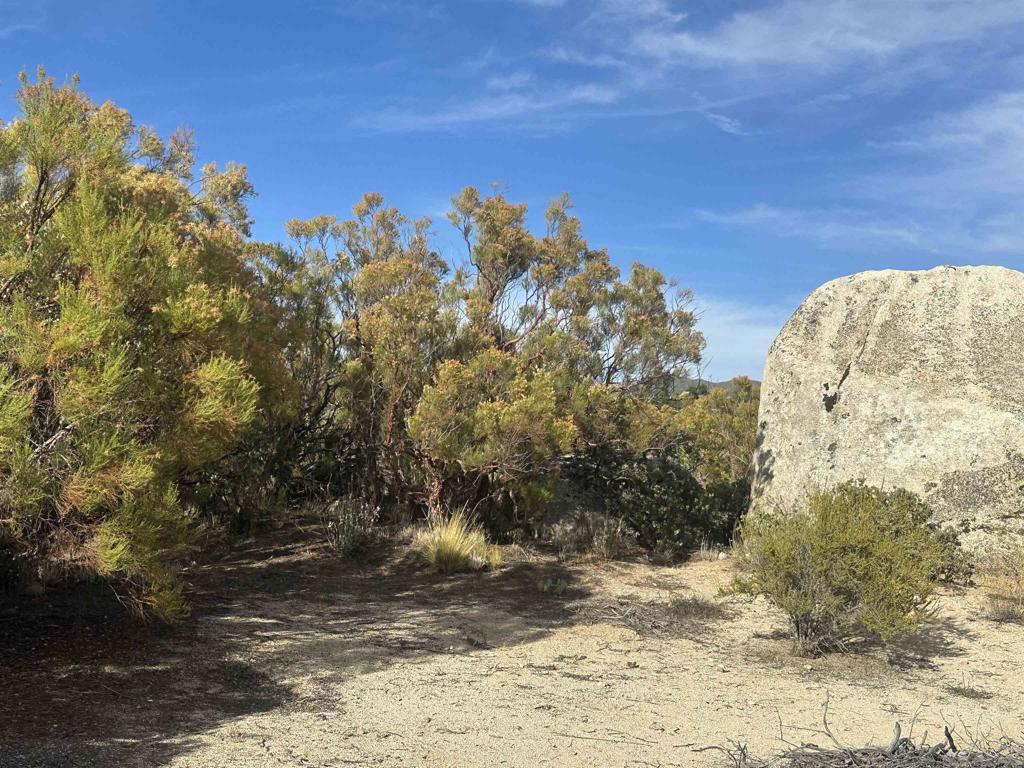 30006 Chihuahua Valley Property Photo 8