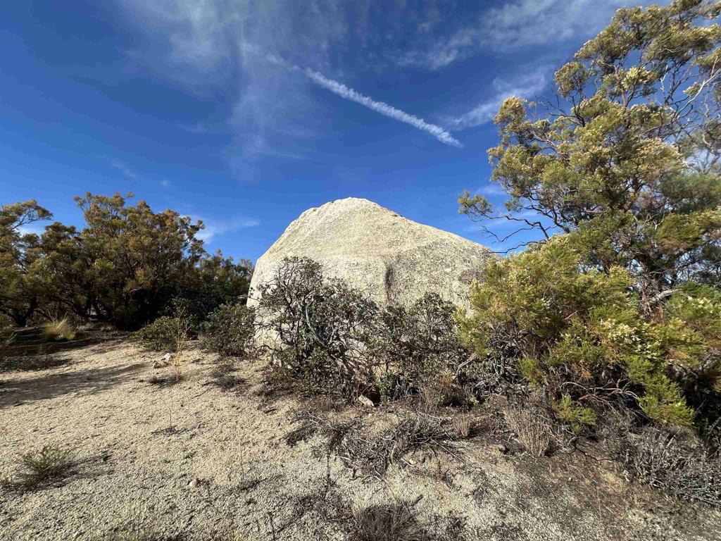 30006 Chihuahua Valley Property Photo 9