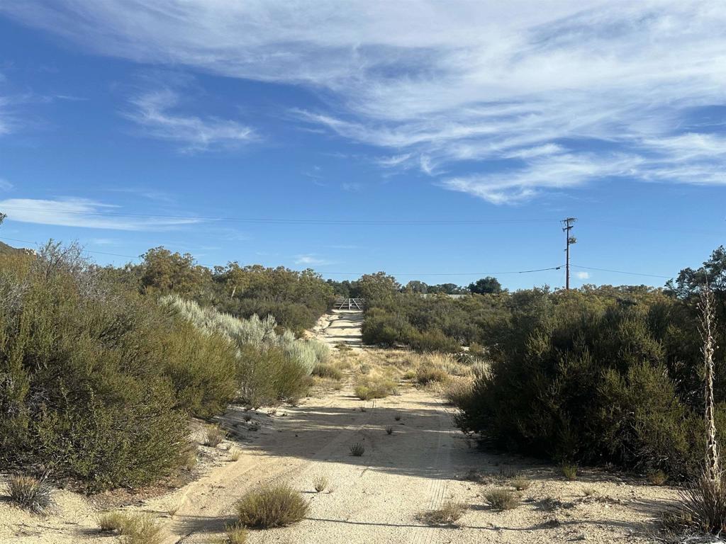 30006 Chihuahua Valley Property Photo 11