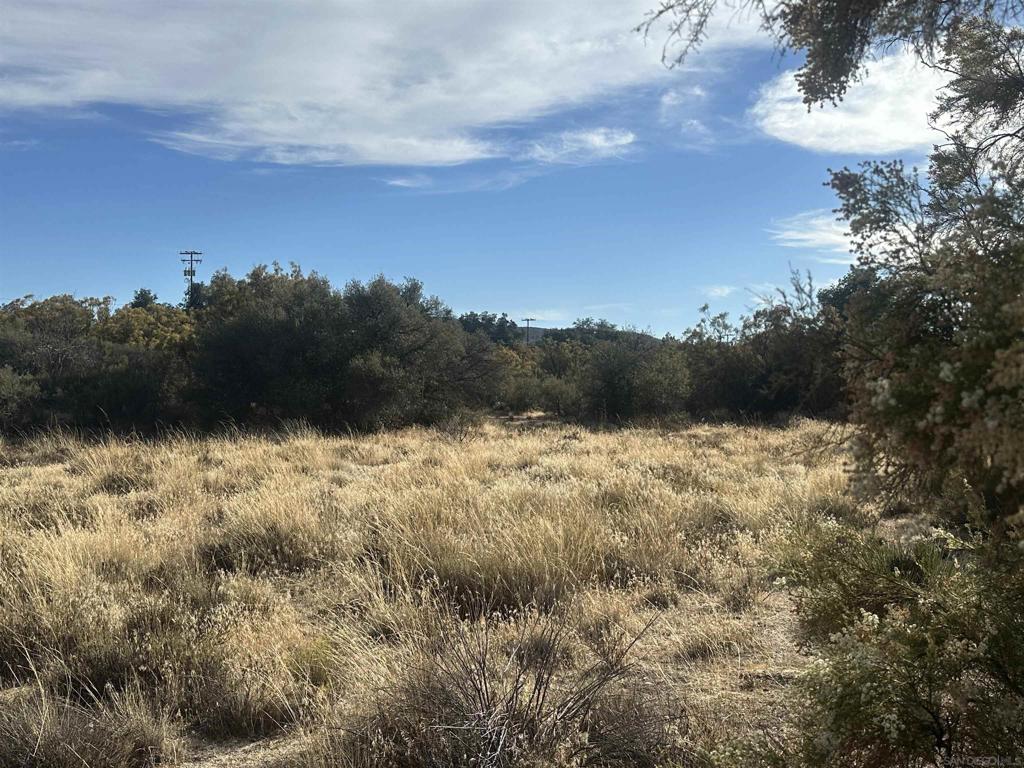30006 Chihuahua Valley Property Photo 12