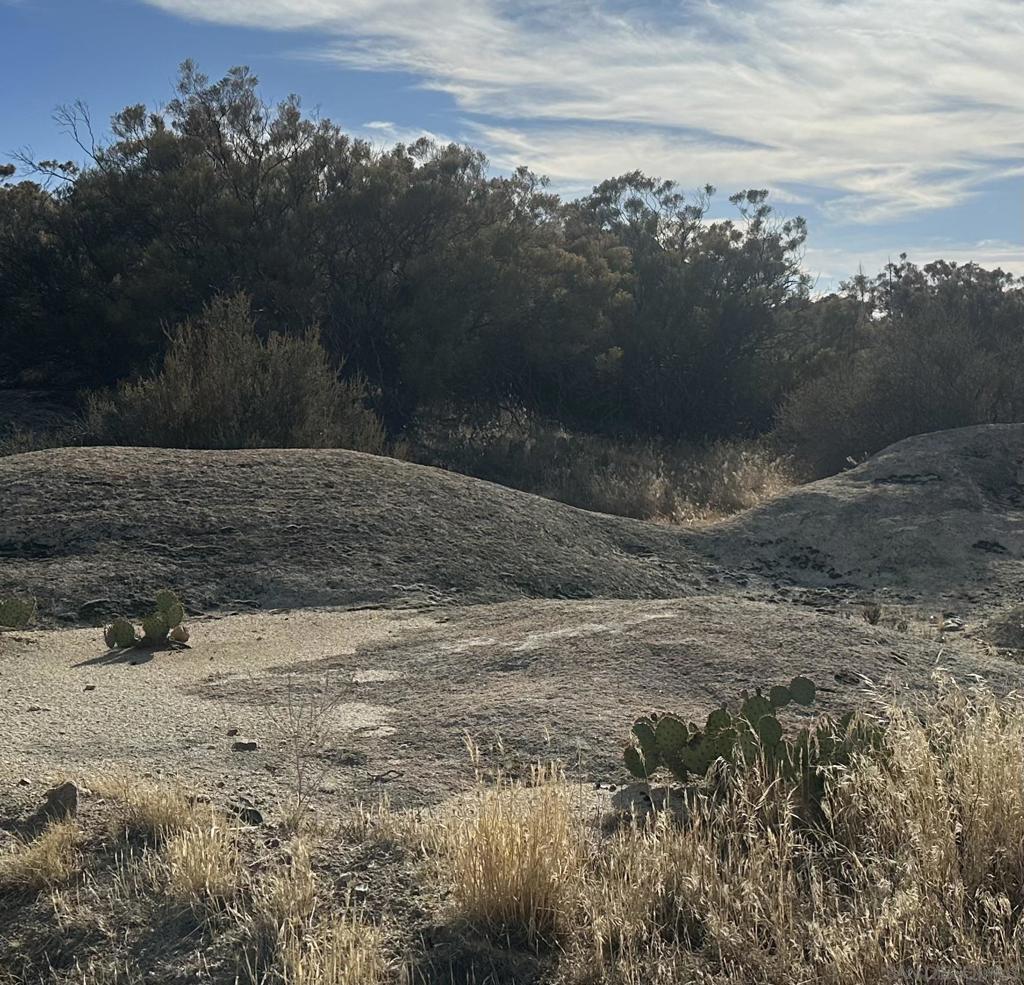 30006 Chihuahua Valley Property Photo 13