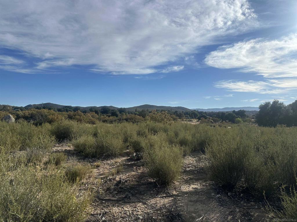 30006 Chihuahua Valley Property Photo 14