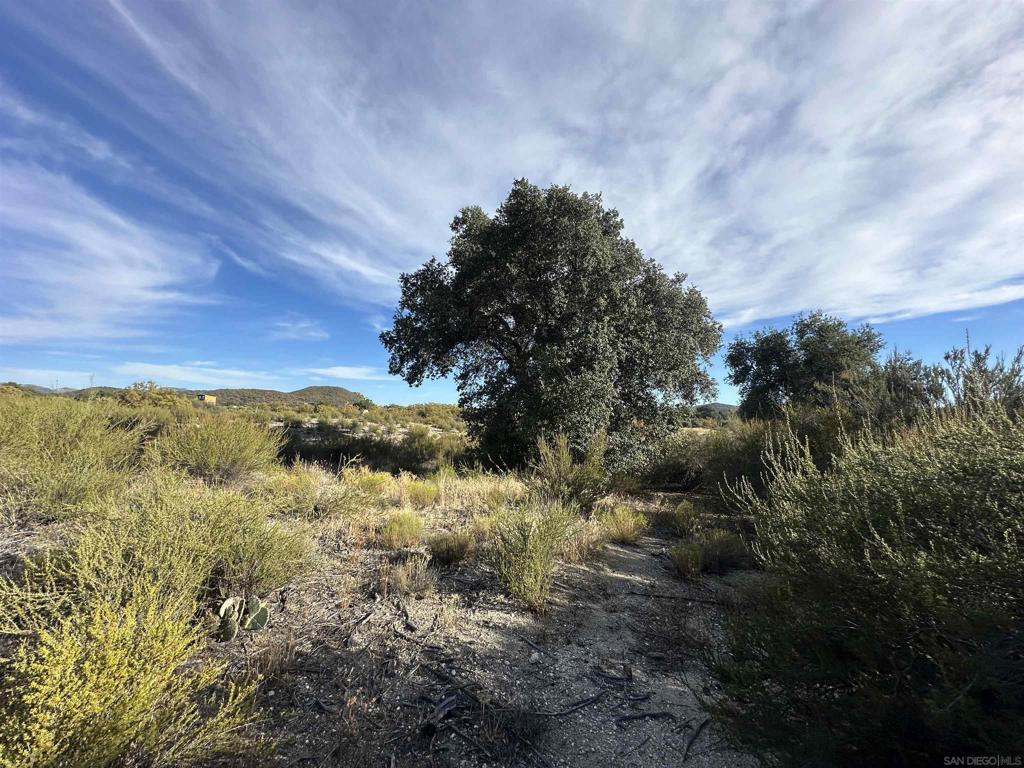 30006 Chihuahua Valley Property Photo 15