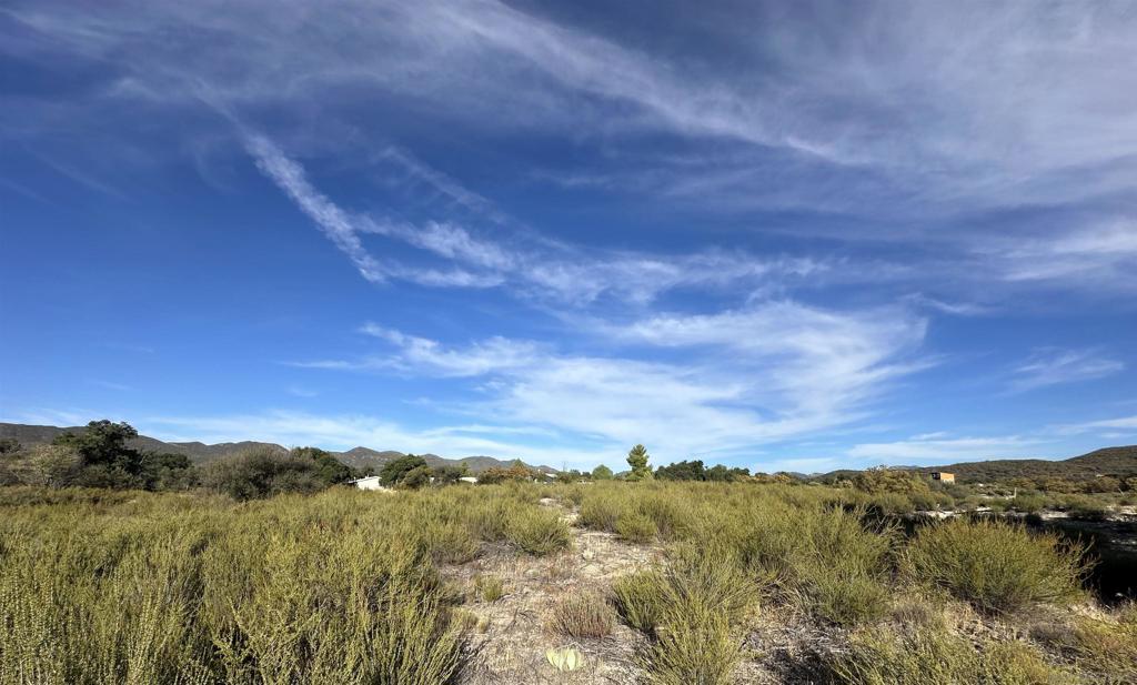 30006 Chihuahua Valley Property Photo 16