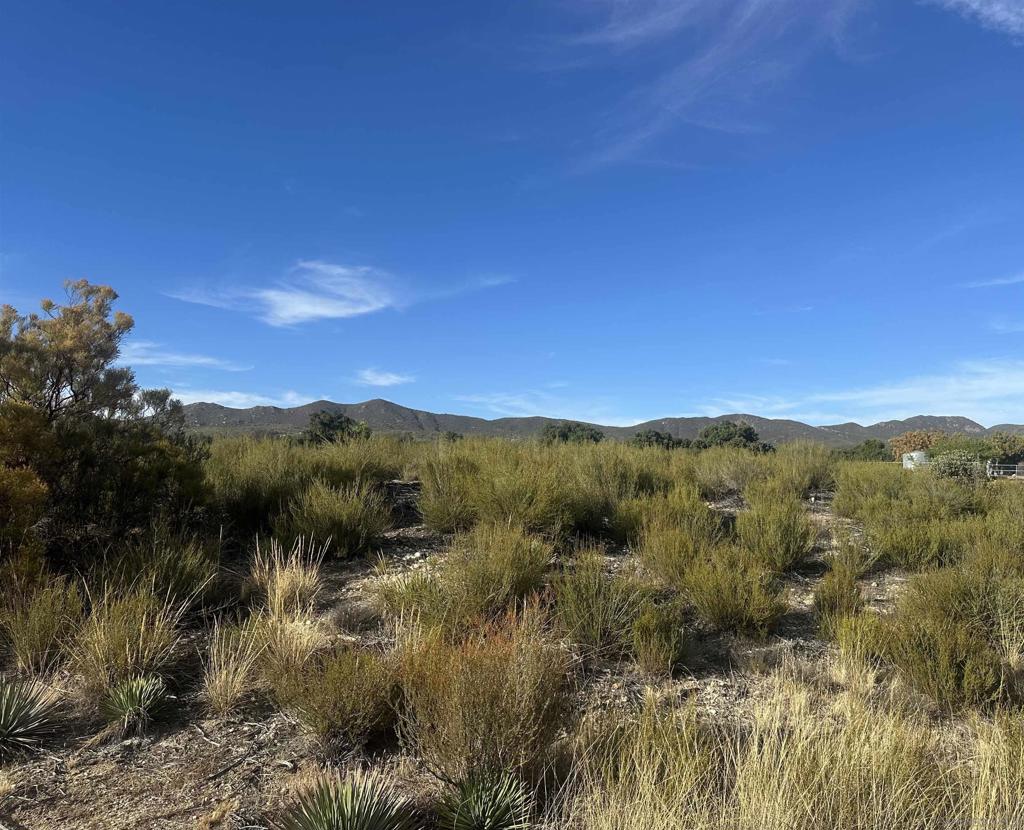 30006 Chihuahua Valley Property Photo 17
