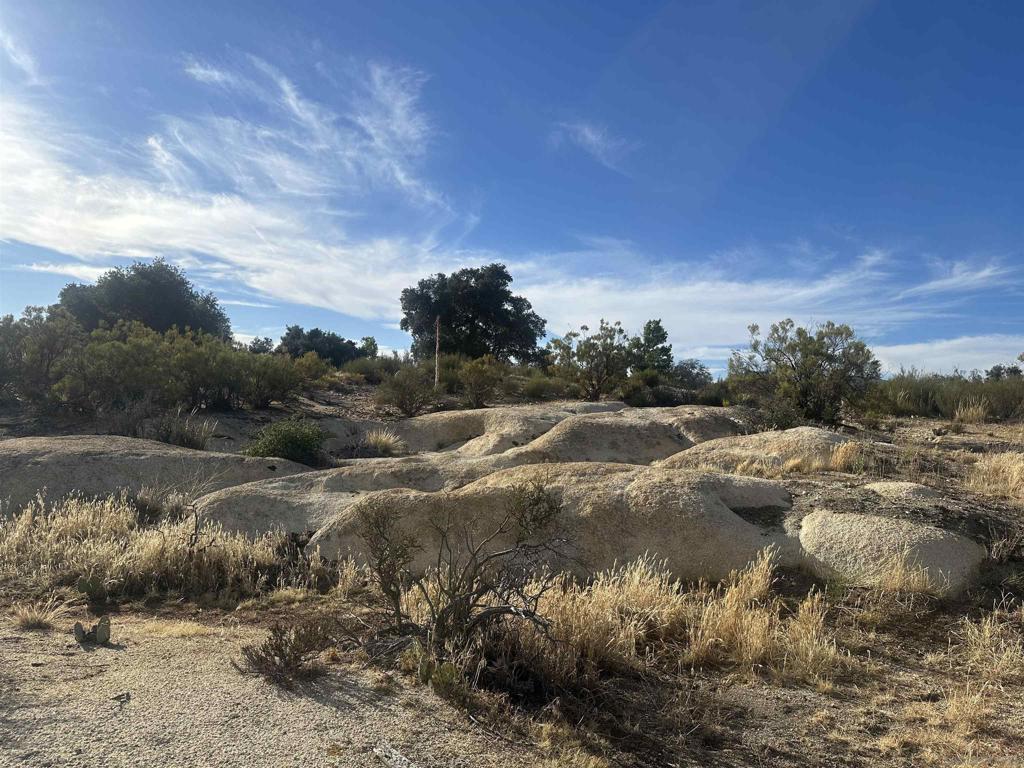 30006 Chihuahua Valley Property Photo 18