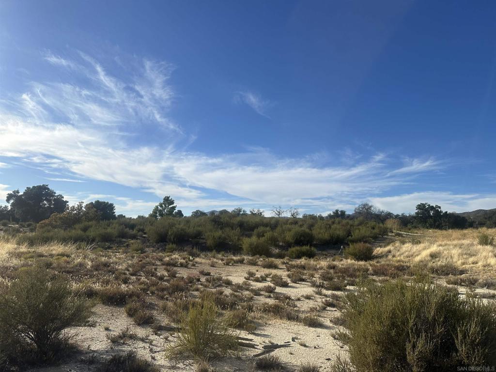 30006 Chihuahua Valley Property Photo 20