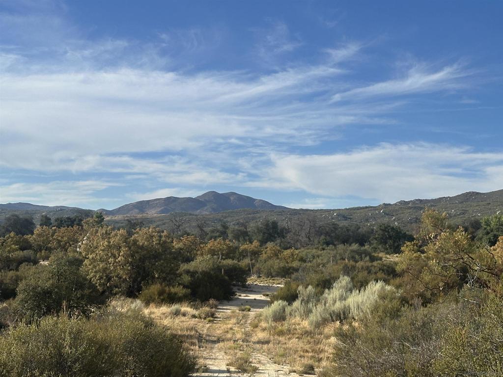 30006 Chihuahua Valley Property Photo 21