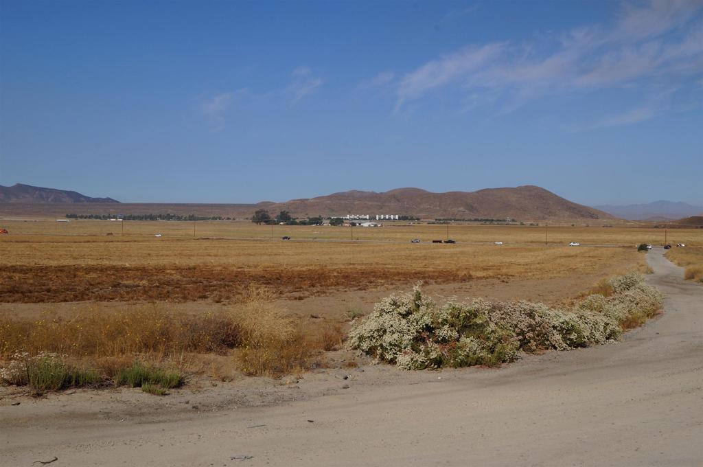 0 State Property Photo 3