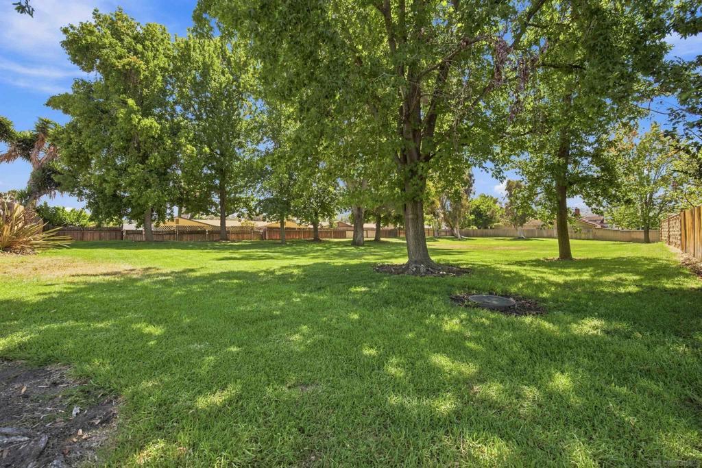 4524 Goldfinch Property Photo 47