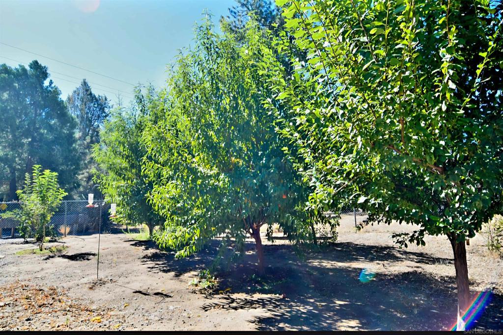 7656 Pine Blvd Property Photo 28