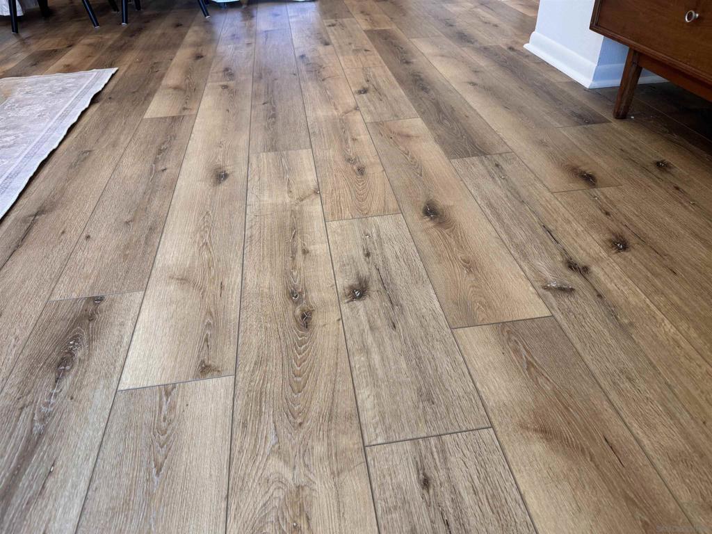 260020743SD Property Photo 6