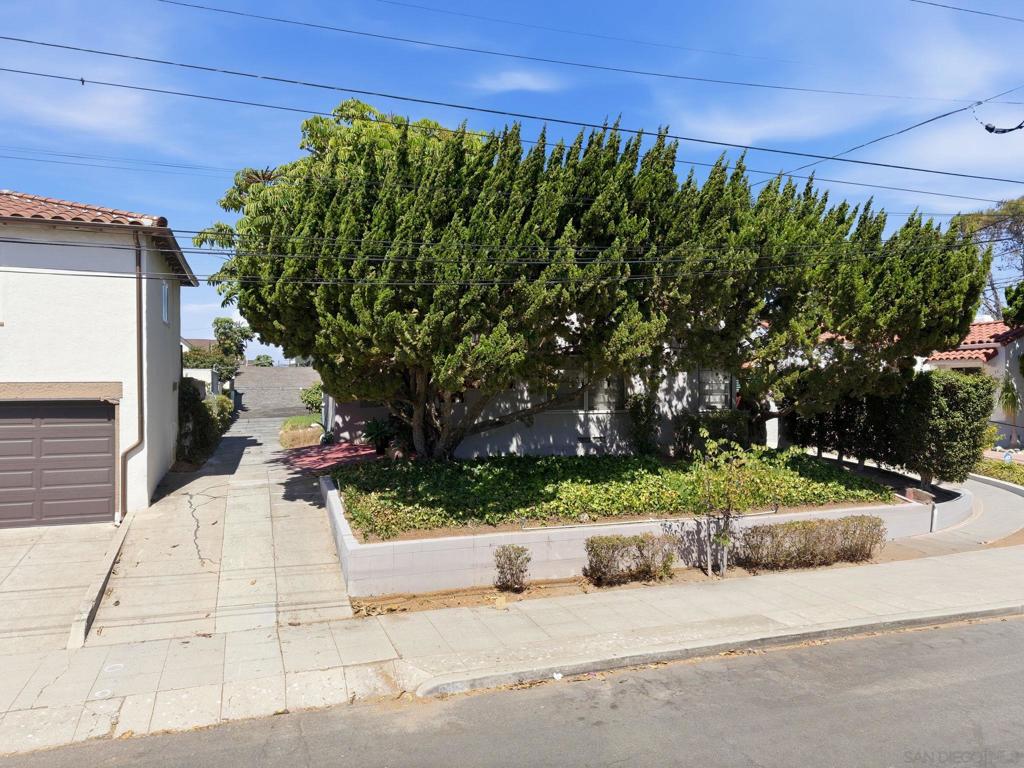 3422 24 Albert St Property Photo 6