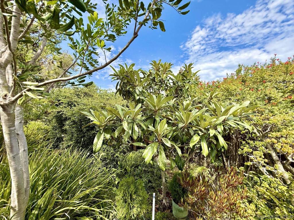 2235 Milton Court Property Photo 47